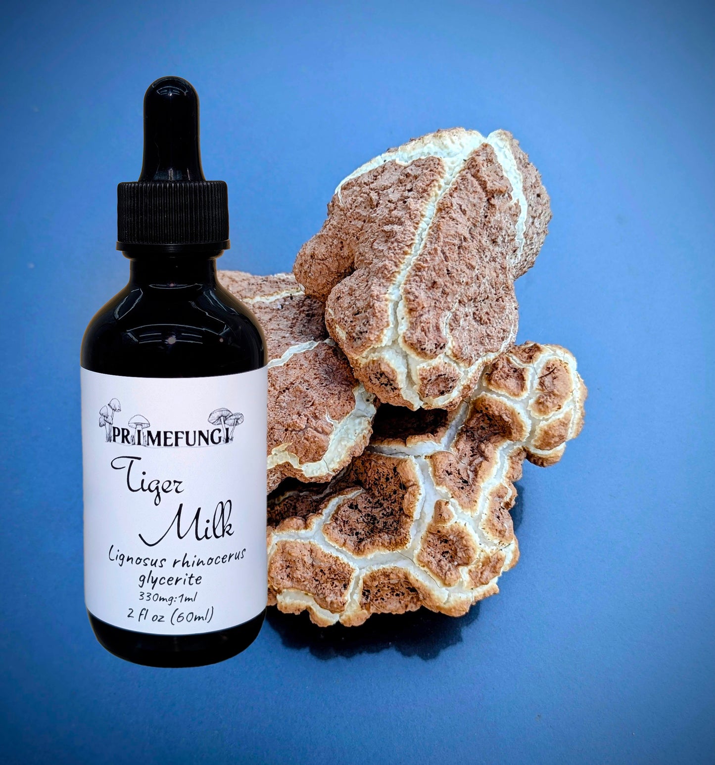 Tiger Milk Mushroom Extract