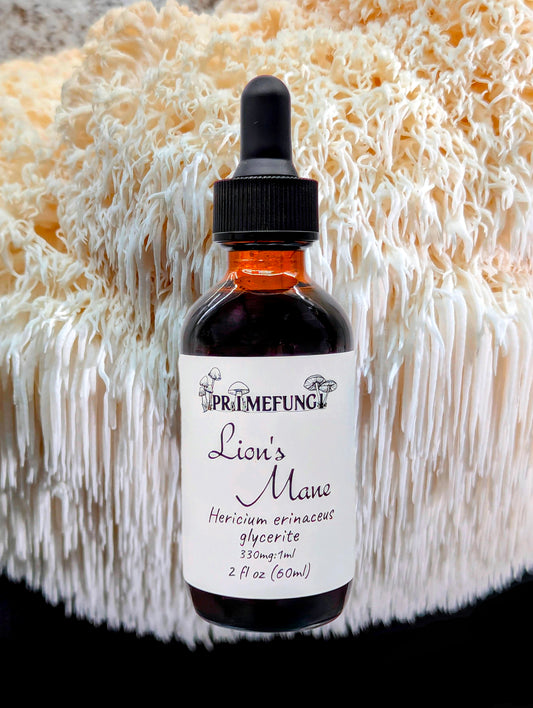 Lion's Mane Mushroom Extract