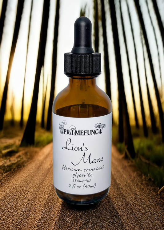 Lion's Mane Mushroom Extract