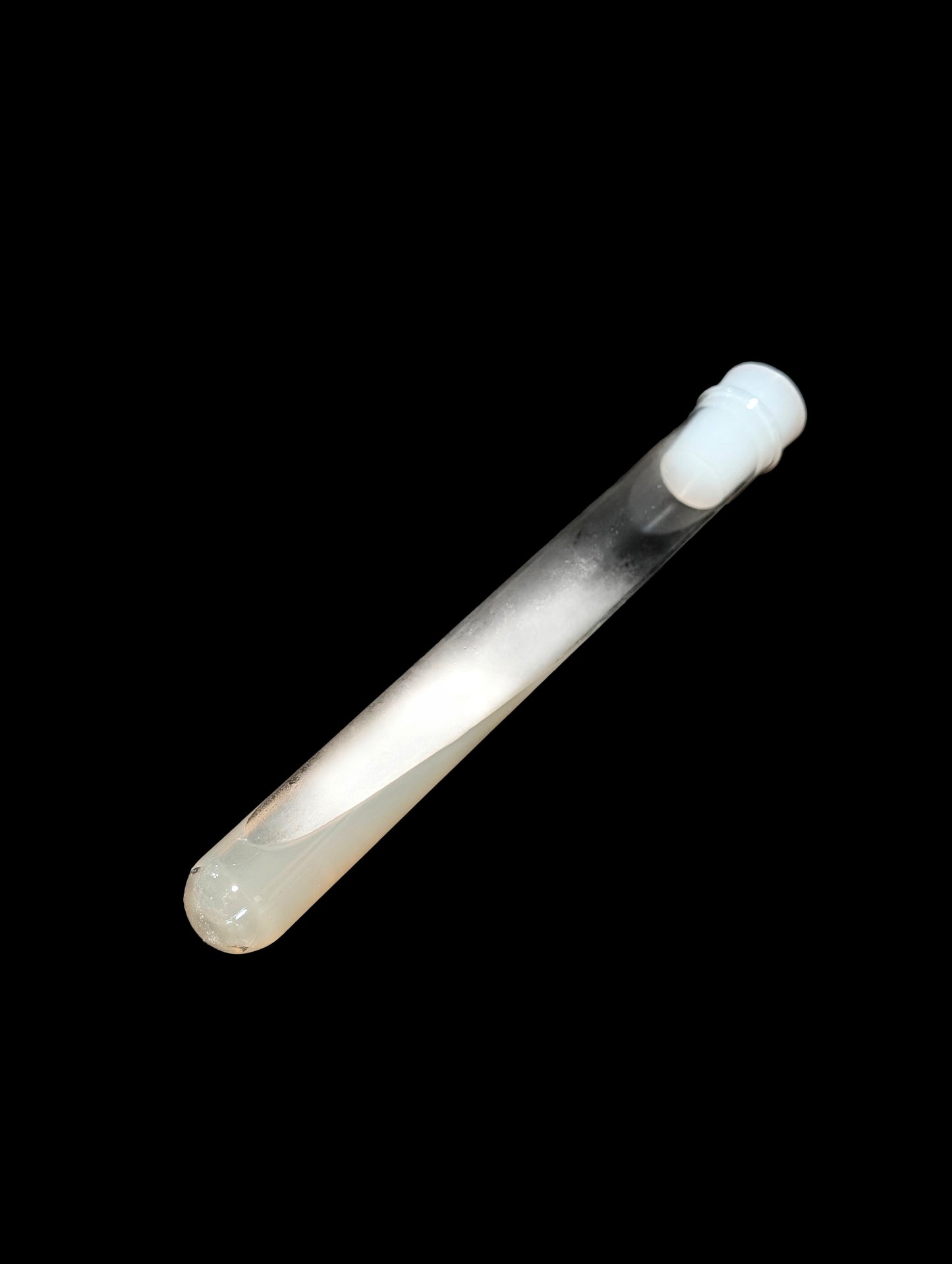 Luminous Porecap Favolaschia manipularis Bioluminescent Mushroom Species