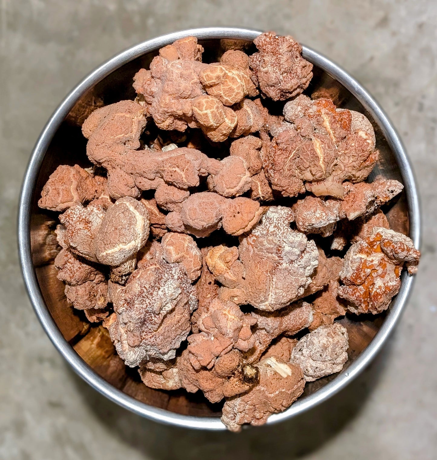 Tiger Milk Mushroom Extract