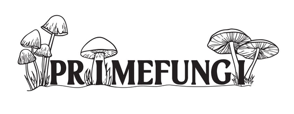 Prime Fungi