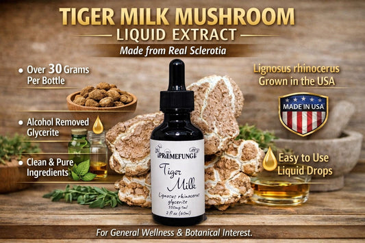 Tiger Milk Mushroom Extract