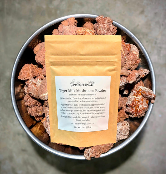 Tiger Milk Mushroom Powder Lignosus rhinocerus sclerotia