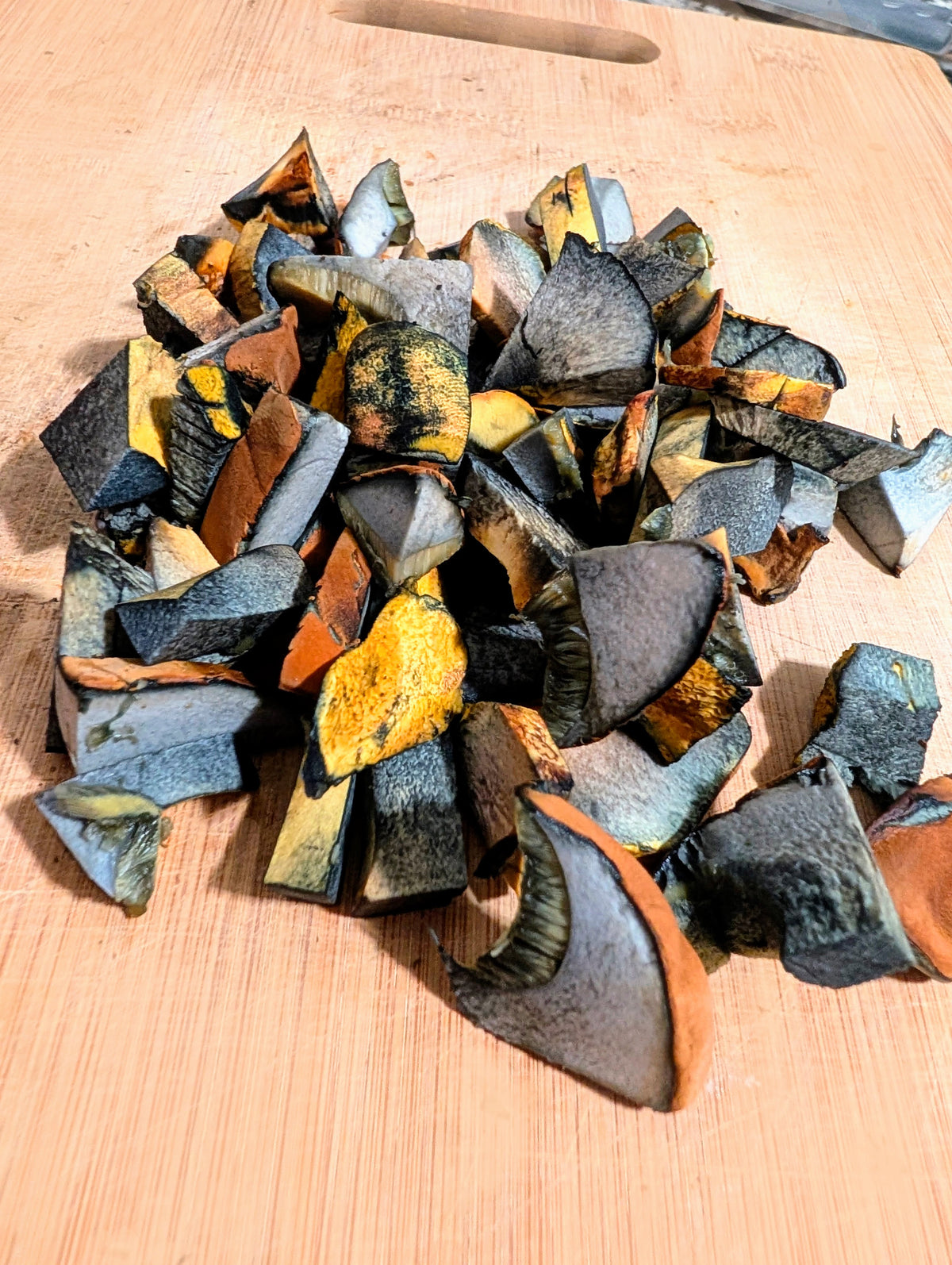 Yellow Bolete and Black Bolete Bundle SLANT